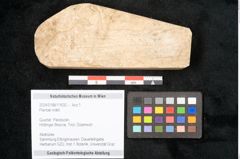 Foto (Objekt + Etikett) von Plantae indet.  (NHMW-GEO-2024-0188-11632)